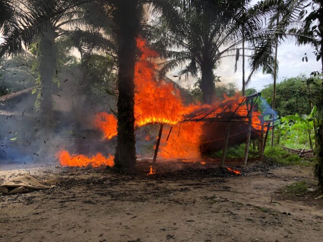 
					Polrestabes Medan Gerebek Lapak Judi Sabung Ayam di Pancur Batu, Lokasi Dibongkar dan Dibakar