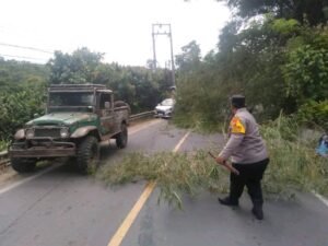 Sigap Atasi Pohon Tumbang, Polsek Tigabinanga Bersama Warga Bersihkan Jalan Raya