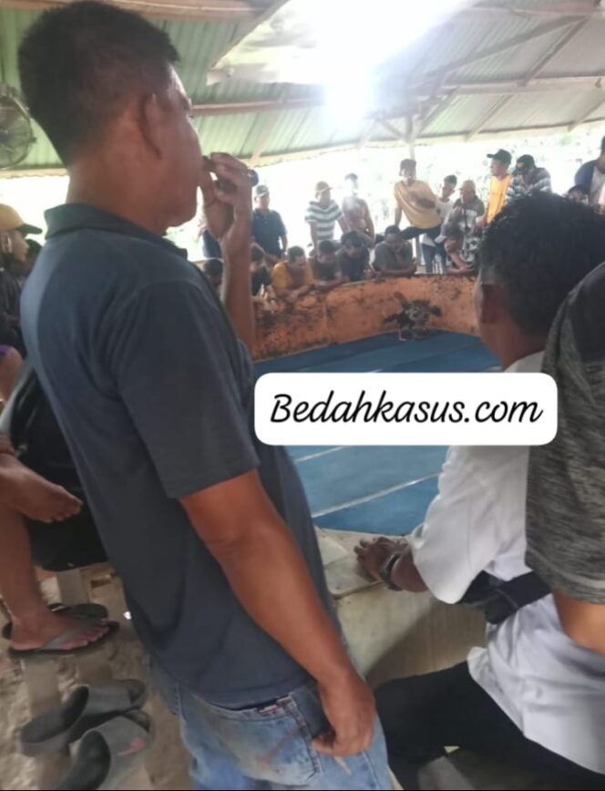 
					Warga Mendesak Kapolda Sumut dan Pangdam Bukit Barisan Tinjau Lokasi Perjudian Sabung Ayam di Tanah Mujur Sibiru – biru