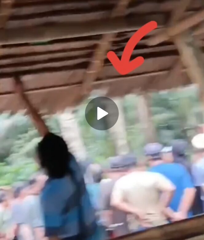 
					Markas Perjudian Dadu Putar Ditemukan Bebas Beroperasi di Patumbak