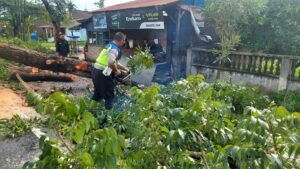 Polres Sergai Dapat Apresiasi Masyarakat, Bergerak Cepat Bersihkan Pohon Tumbang dan Jaga Kelancaran Lalu Lintas