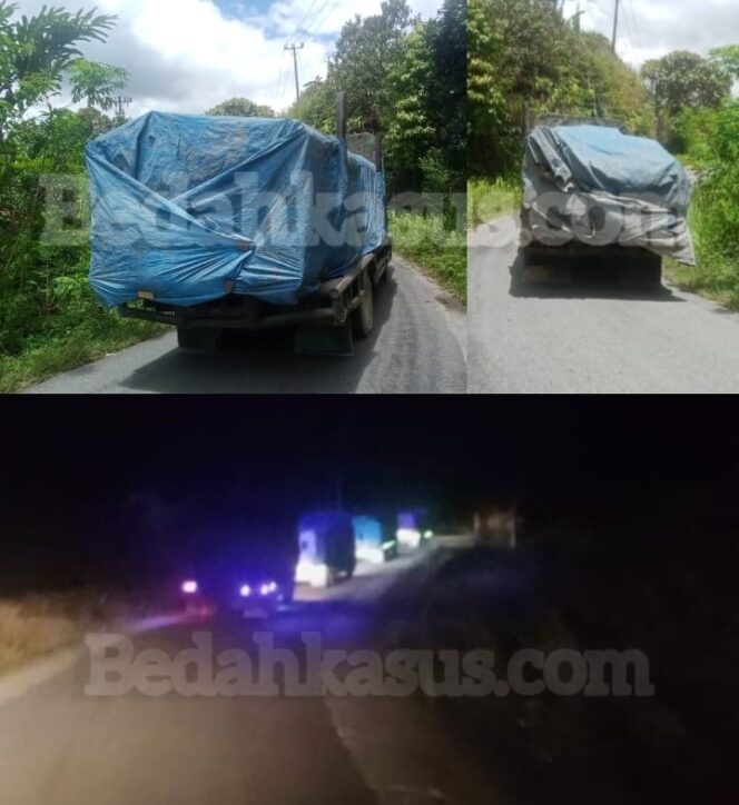 
					Meski SIPUHH Dibekukan, Pembalakan dan Pengangkutan Kayu Hutan di Humbahas Tetap Berjalan