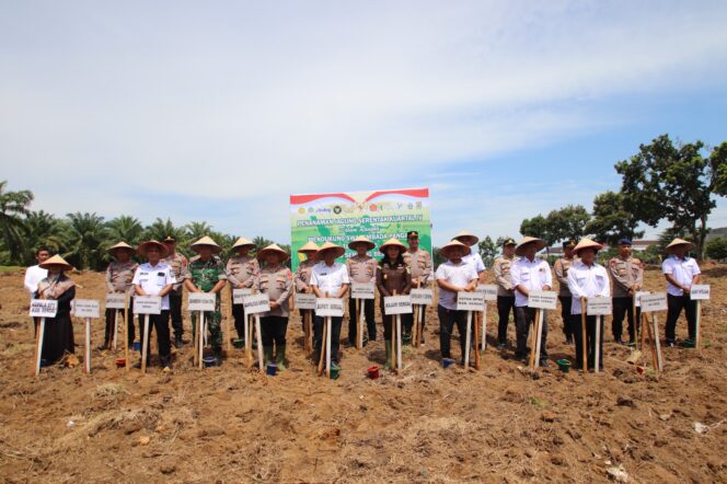 
					Polres Sergai Gelar Penanaman Jagung Serentak Kuartal IV Dukung Swasembada Pangan Nasional 2025 secara Virtual