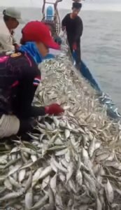 Pelindo Regional 1 Bawa Harapan Baru bagi Nelayan Batu Bara