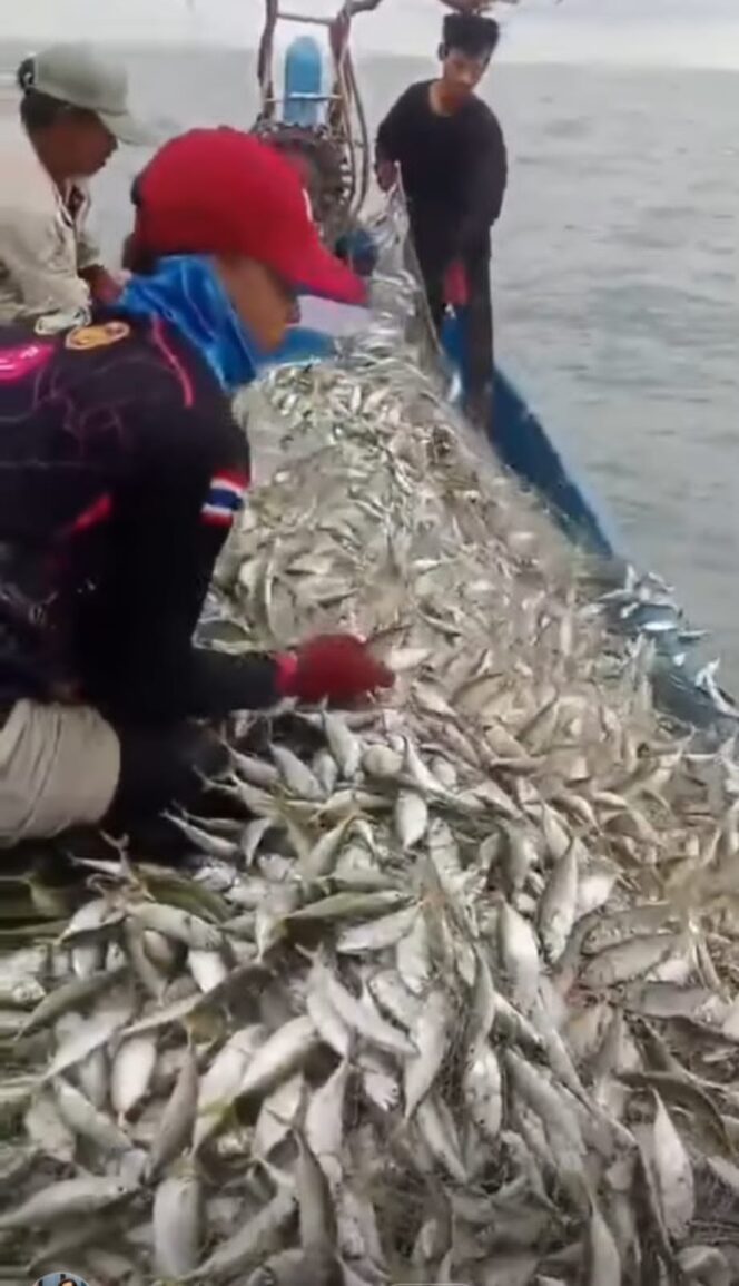 
					Pelindo Regional 1 Bawa Harapan Baru bagi Nelayan Batu Bara