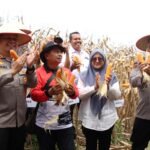 Polres Pelabuhan Belawan Laksanakan Panen Raya Jagung Program Ketahanan Pangan