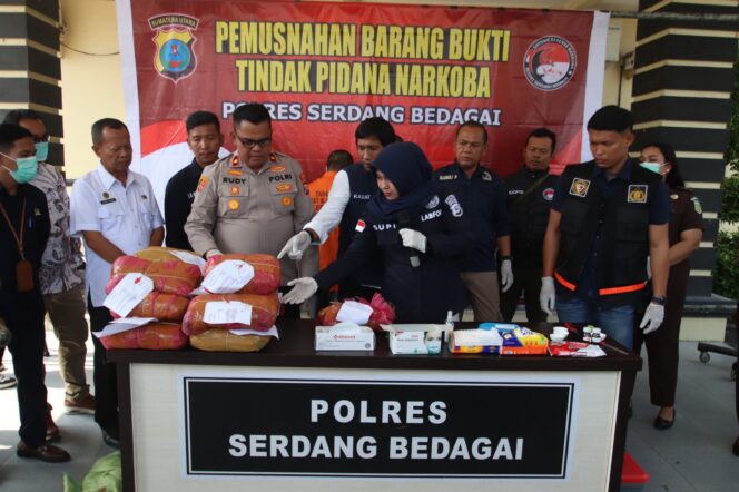 
					Polres Serdang Bedagai Musnahkan Belasan Bal Ganja, Wakapolres Tegaskan Komitmen Perang Narkoba