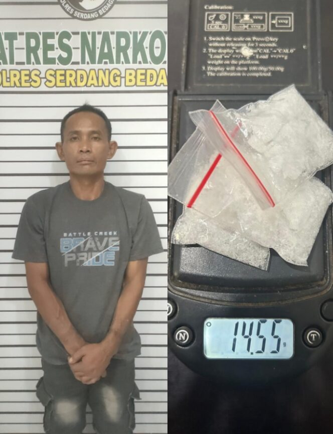 
					Satres Narkoba Polres Sergai Bekuk Pengedar Sabu di Sei Bamban, 14,55 Gram Barang Bukti Disita