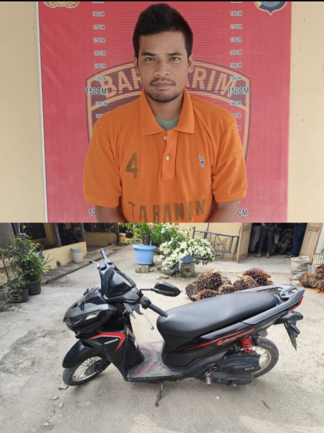 
					Polsek Perbaungan , Polres Serdang Bedagai ungkap kasus Curat, Satu pelaku Berhasil Diringkus