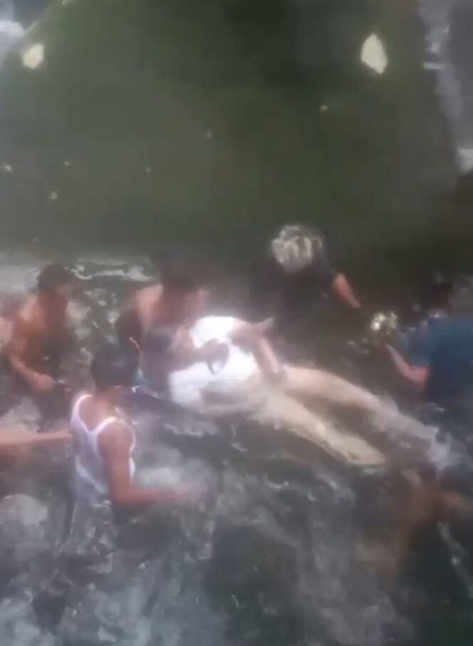 
					Remaja Asal Pekan Baru Tewas Tenggelam di Air Terjun Lubuk Tagaru