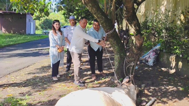 
					Hari Raya Idul Adha 1447 H, Polres Binjai Sembelih 7 Ekor Sapi dan 3 Ekor Kambing