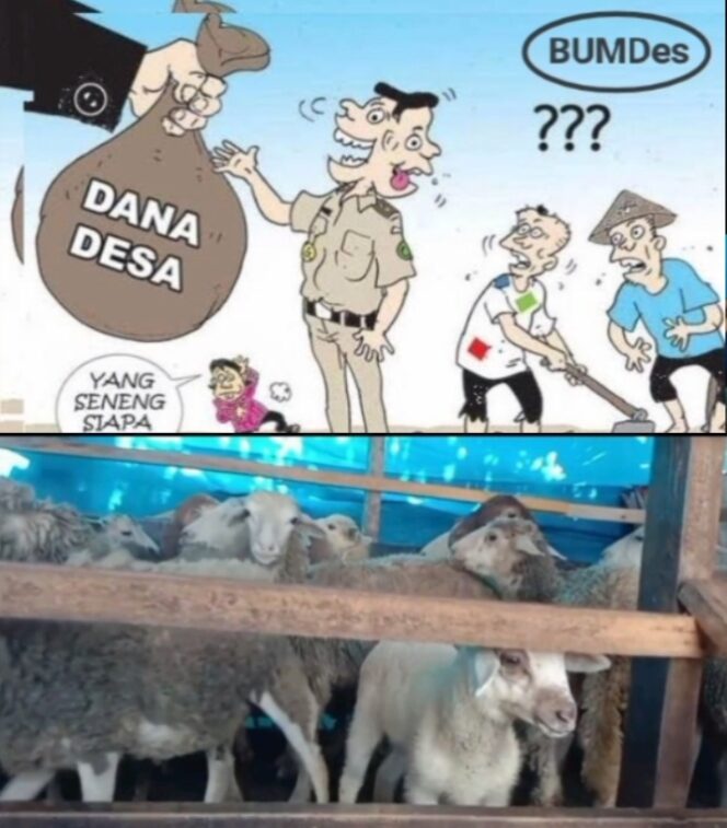 
					Ratusan Juta Dana BUMDES di Desa Purwodadi Kecamatan Sunggal Disoal Warga, Masyarakat Minta APH Lakukan Audit!