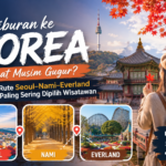 Liburan ke Korea Saat Musim Gugur? Ini Rute Seoul–Nami–Everland yang Paling Sering Dipilih Wisatawan