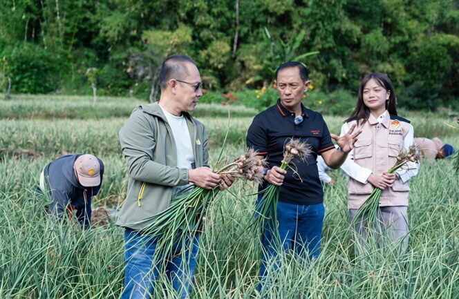 
					Satgas Pangan Polri Perkuat Swasembada Bawang Putih, Lahan Tanam di Sembalun Capai 534 Hektare
