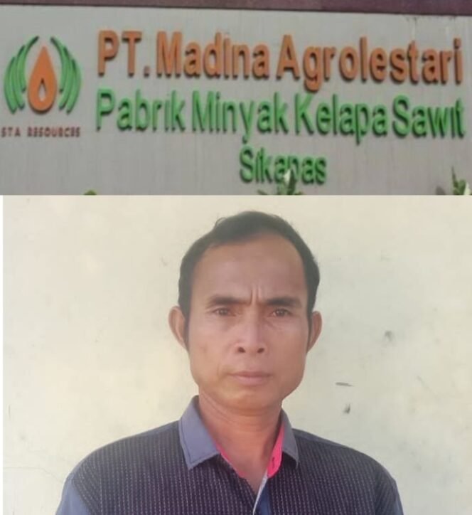 
					“Drama PHK di Kebun Sikapas: Tak Teken Kontrak, Pekerja Mengaku Langsung Dicopot Setelah Hampir 5 Tahun Mengabdi”